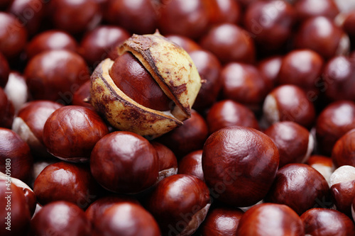 Photo: chestnuts chestnuts