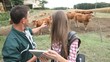 Veterinarian visiting cow breeder