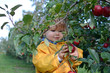bébé cueille une pomme