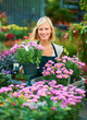 Photo: Plants will brighten up any space Plants will brighten up any space