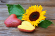 Kartoffelherz mit Sonnenblume
