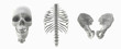 skeletal parts