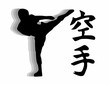 Karate fighter - high kick vector