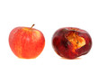 Äpfel