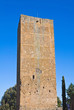 Tower of Lavello. Tuscania. Lazio. Italy.