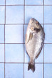 frischer Fisch