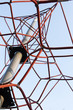 Kletterturm