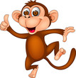 Funny dancing monkey