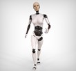 Humanoid Walking