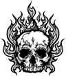 Flaming Skull Graphic Vector Image