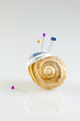 pincushion in shell with pins isolated vertical