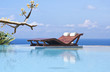 piscine tropicale
