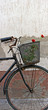 Red roses in basket of old rusty bicycle