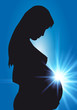 Enceinte_Soleil_Rayons