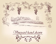 hand drawn label vineyards