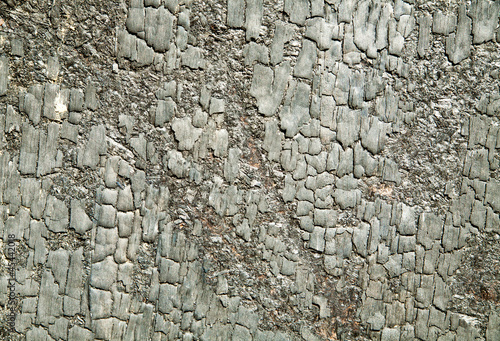Photo: scorched wood scorched wood