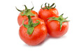 Fresh tomatoes isolated on the white