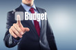 Budget