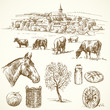 farm animal, rural village - hand drawn collection