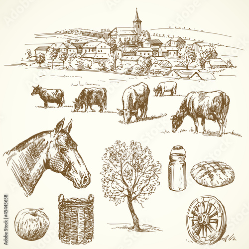Vector: farm animal, rural village - hand drawn collection farm animal, rural village - hand drawn collection
