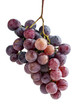 Photo: red grapes red grapes