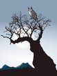 Vector: Uhu auf einem alten Baum Uhu auf einem alten Baum