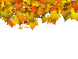 Herbst, Herbstblätter, Blätter, Hintergrund, Vorlage, Postkarte