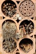 Insektenwohnung