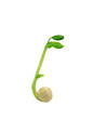 Pea with a green leaf shoot, isolated