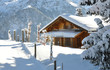 Alpine scenery
