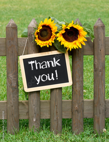 Photo: Thank you ! Thank you !