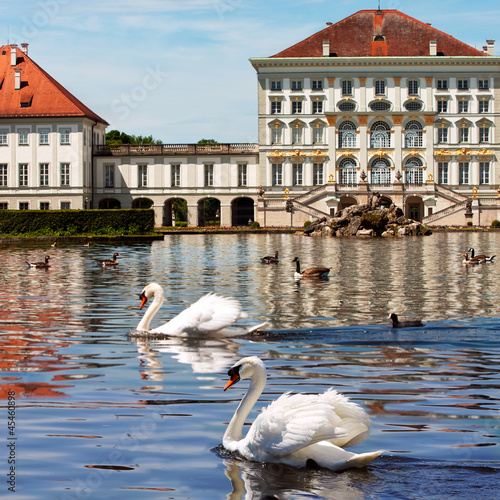 Photo: Swans of Nymphenburg castle in Munich Swans of Nymphenburg castle in Munich