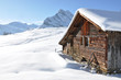 Alpine scenery. Braunwald, Switzerland