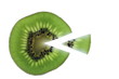 Kiwi Slice