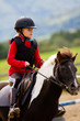 Horse riding -  lovely equestrian is riding on a horse