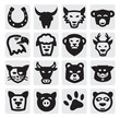 animals set