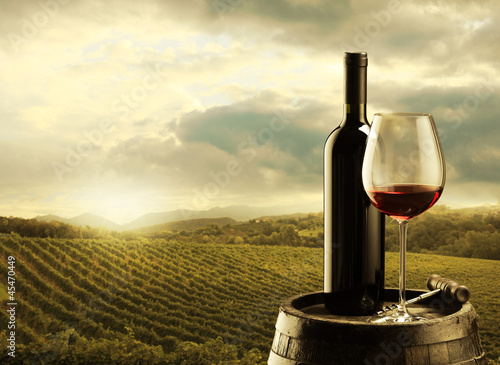 Photo: Vineyard at sunset Vineyard at sunset