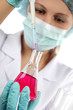 Photo: science experiment science experiment