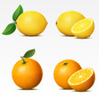 Collection of fruits