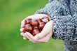 little hands with chestnuts