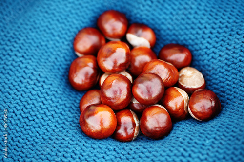 Photo: sweater with chestnuts sweater with chestnuts