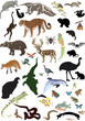 set of different animal and insects on white
