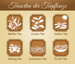 Teesorten der Teepflanze Camellia sinensis