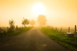 Herbstnebel