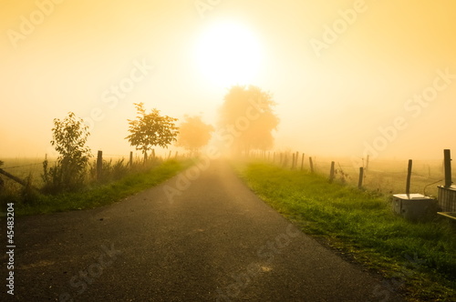 Photo: Herbstnebel Herbstnebel
