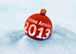 2013 Neige