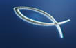 Ichthys Fisch Symbol - Insel Konzept 2