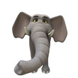 elephant looking at you