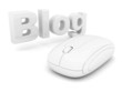 White mouse