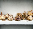 Foto: Knoblauch Knoblauch